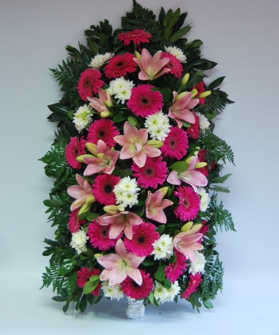 Palma tons Rosa forte