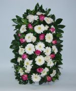 Palma Gerbera e Rosa