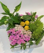 Caixa Zurique